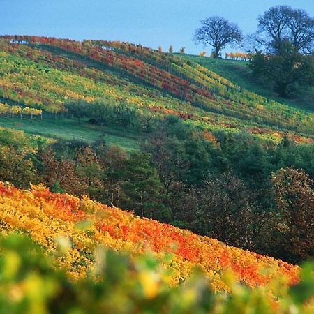 Gasthof Hotel Zum Weinberg Kohfidisch Екстер'єр фото
