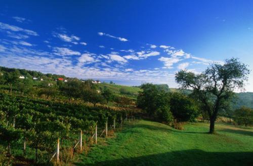 Gasthof Hotel Zum Weinberg Kohfidisch Екстер'єр фото